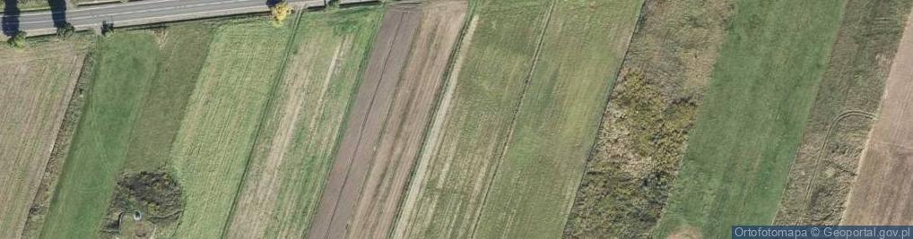 Zdjęcie satelitarne Stacja Paliw BZ