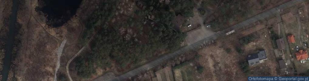 Zdjęcie satelitarne PZŁ