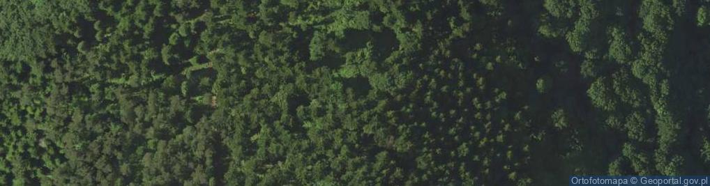 Zdjęcie satelitarne Banicka Góra