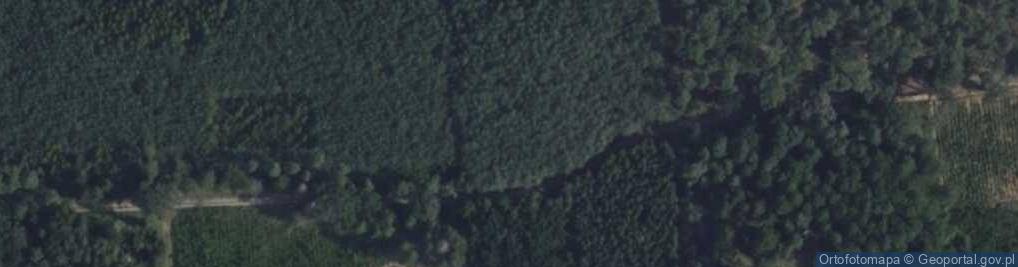 Zdjęcie satelitarne Biała Góra