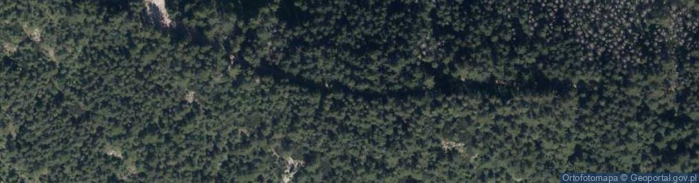 Zdjęcie satelitarne Boczań