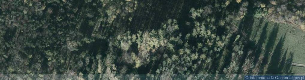 Zdjęcie satelitarne Bucze