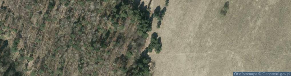 Zdjęcie satelitarne Buków Dział