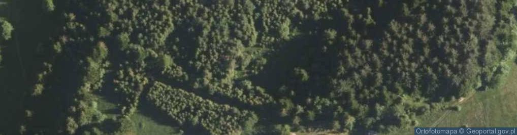 Zdjęcie satelitarne Butorówka