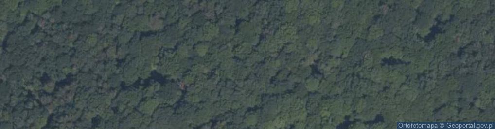 Zdjęcie satelitarne Chełmno