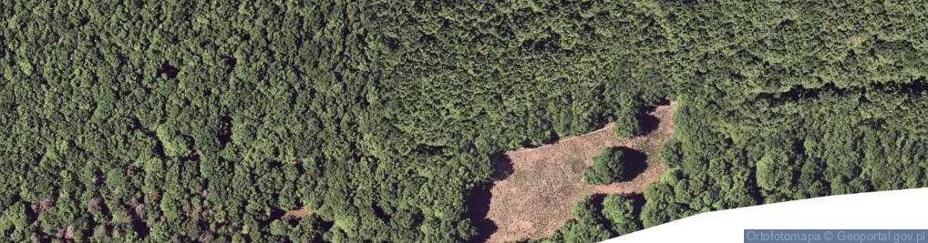 Zdjęcie satelitarne Czerteż