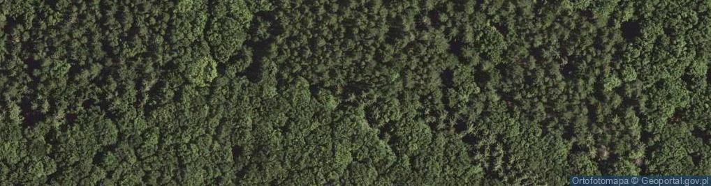 Zdjęcie satelitarne Czerteż
