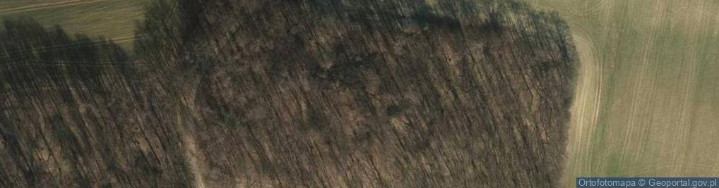 Zdjęcie satelitarne Dębowy Wierch