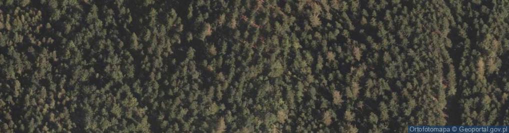 Zdjęcie satelitarne Długa (Tarczowa)