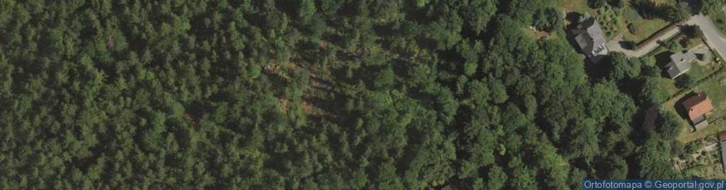 Zdjęcie satelitarne Drewniak