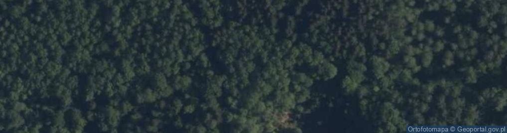 Zdjęcie satelitarne Gęsia Góra