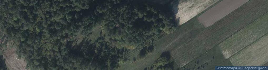 Zdjęcie satelitarne Góra Brzezińska