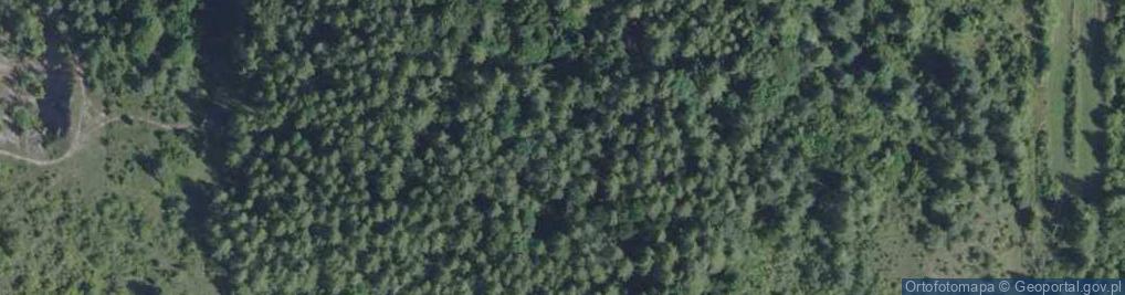 Zdjęcie satelitarne Góra Chełmowa