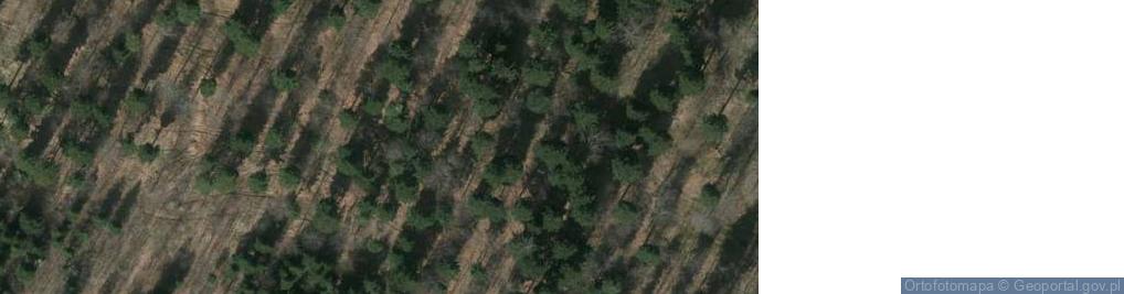 Zdjęcie satelitarne Góra Gronowa