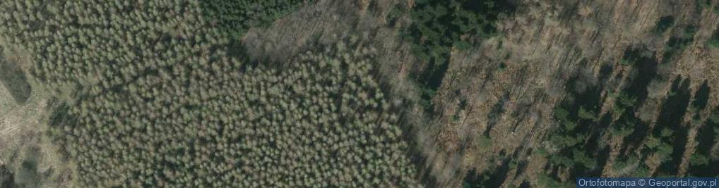 Zdjęcie satelitarne Góra Oliwna