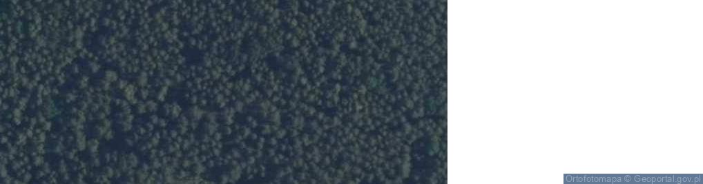 Zdjęcie satelitarne Góra Róg