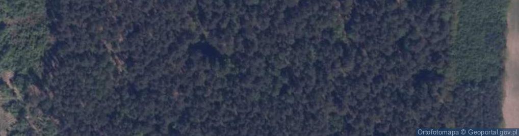 Zdjęcie satelitarne Góra Sowia