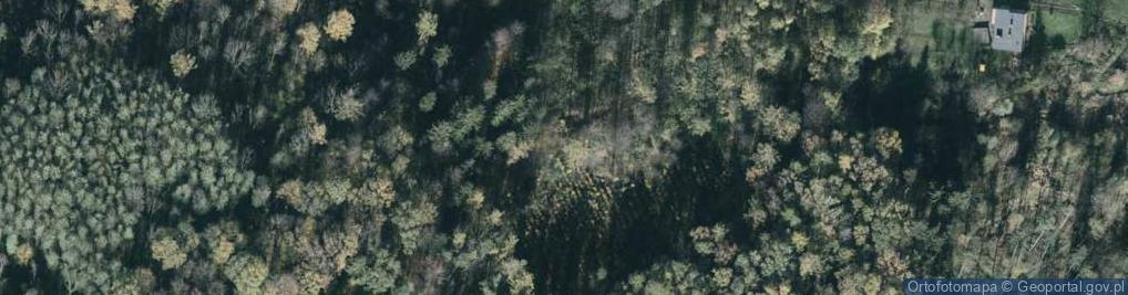 Zdjęcie satelitarne Górka Wilamowicka