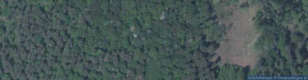 Zdjęcie satelitarne Gozdnica (Anielska Góra)