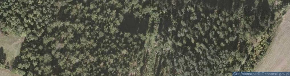 Zdjęcie satelitarne Granaty