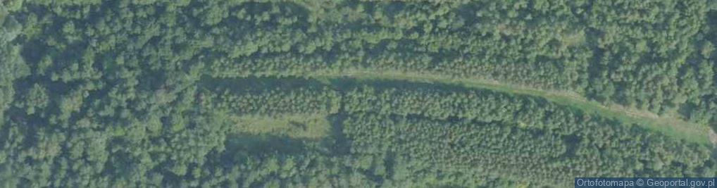 Zdjęcie satelitarne Granicznik
