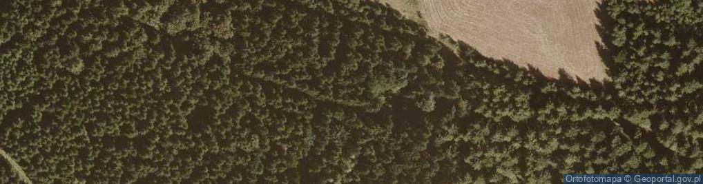 Zdjęcie satelitarne Graniczny Wierch