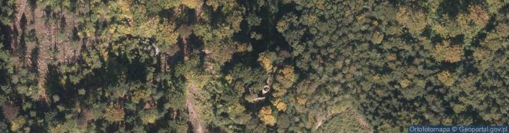 Zdjęcie satelitarne Grodna