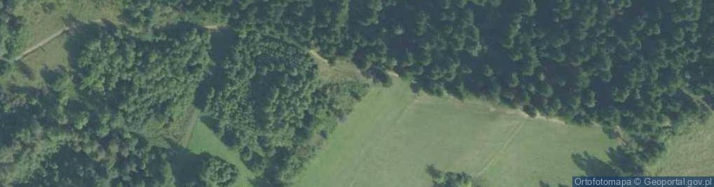 Zdjęcie satelitarne Grzebień