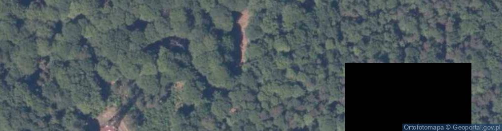 Zdjęcie satelitarne Grzywacz