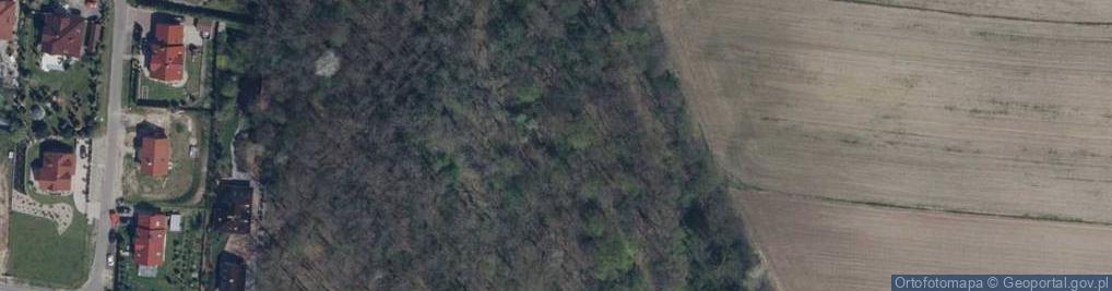 Zdjęcie satelitarne Harcerska Góra