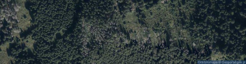 Zdjęcie satelitarne Huciańska Bania