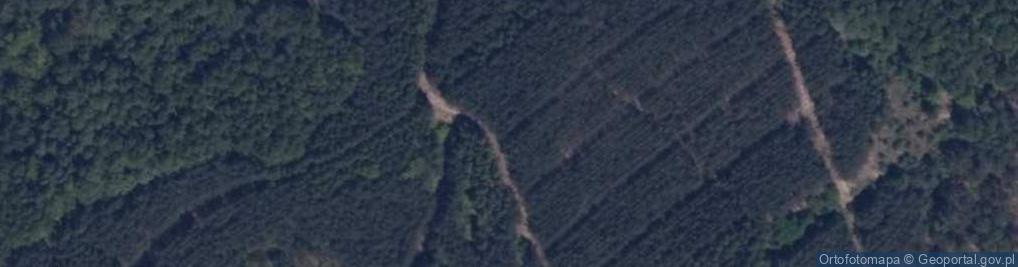Zdjęcie satelitarne Iglicza Góra