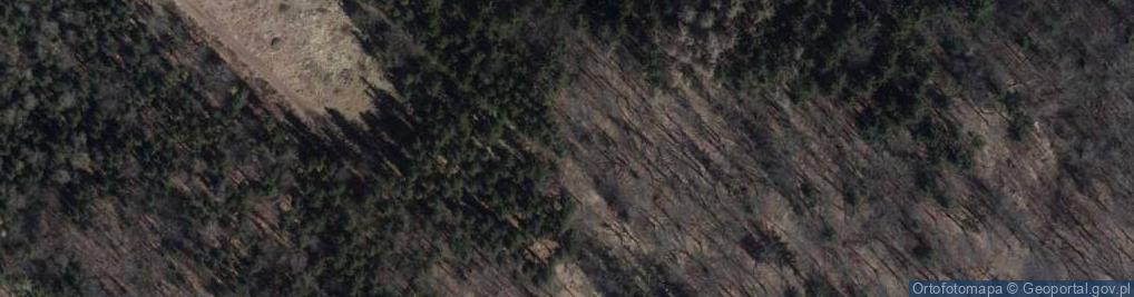 Zdjęcie satelitarne Jałowiec Mały