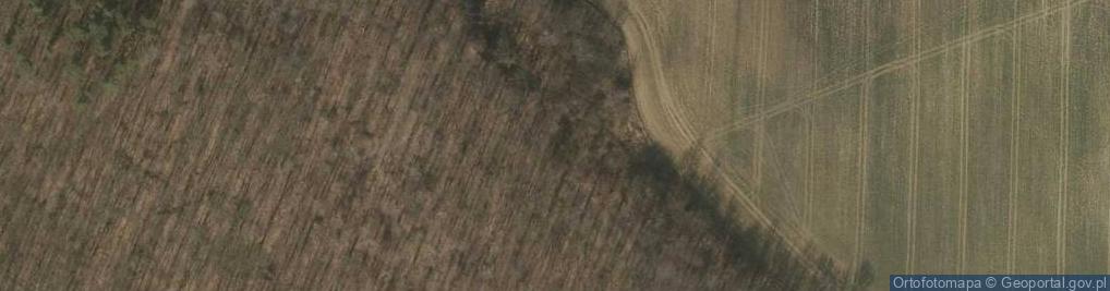 Zdjęcie satelitarne Jaroszowskie Wzgórze