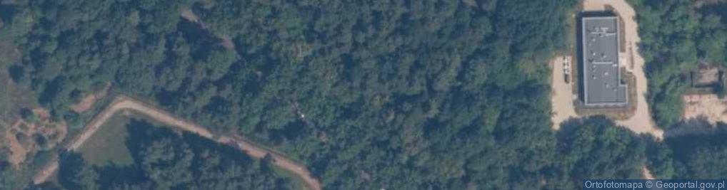 Zdjęcie satelitarne Jastrzębia Góra