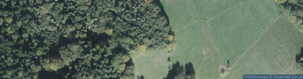Zdjęcie satelitarne Jastrzębie