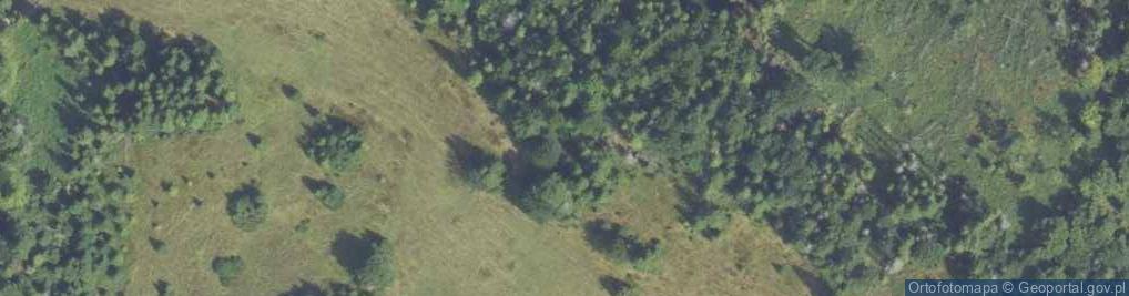 Zdjęcie satelitarne Jaworzynka Gorcowska (Piorunowiec)