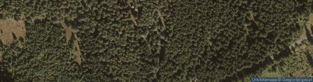 Zdjęcie satelitarne Jeleniec (Kaczorek)