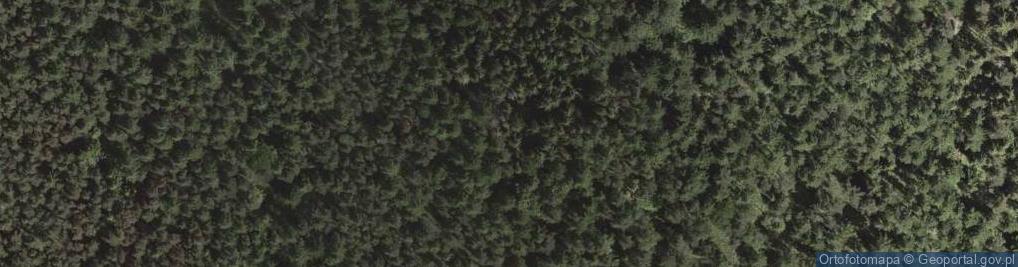 Zdjęcie satelitarne Kiczera Średnia