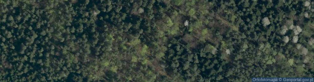 Zdjęcie satelitarne Kiczera