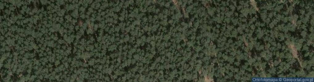 Zdjęcie satelitarne Kiczora
