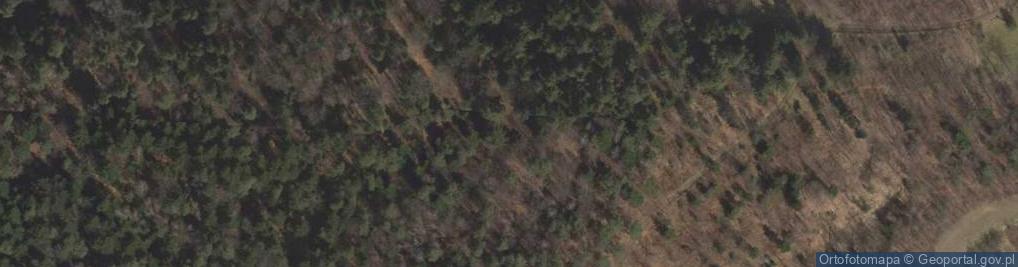 Zdjęcie satelitarne Kobyla Góra