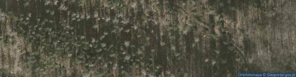 Zdjęcie satelitarne Kołacz