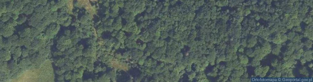 Zdjęcie satelitarne Krzystonów (Krzysztanów)
