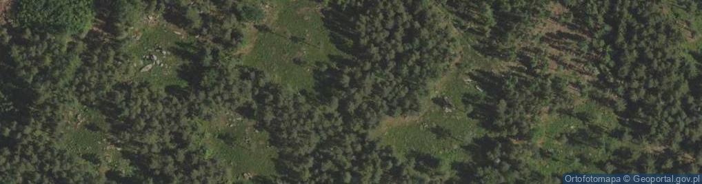 Zdjęcie satelitarne Kucznik