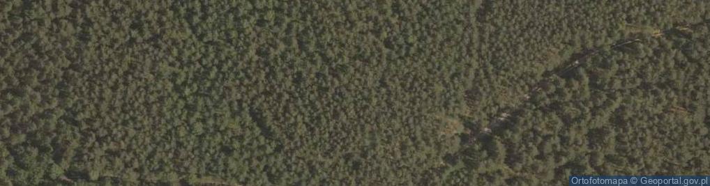Zdjęcie satelitarne Leśna Góra