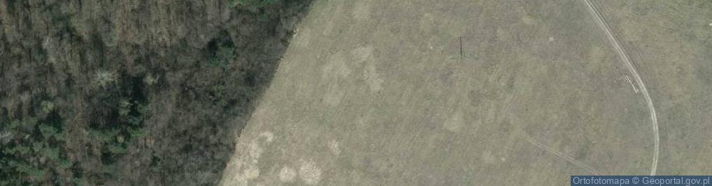 Zdjęcie satelitarne Leszczyńska Góra