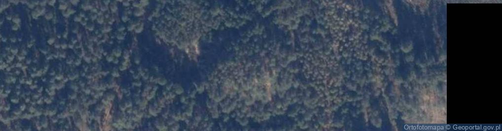 Zdjęcie satelitarne Lisia Góra