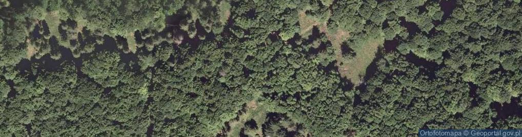 Zdjęcie satelitarne Liszniańska Kopka - Skrajna