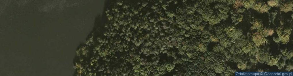 Zdjęcie satelitarne Łomna